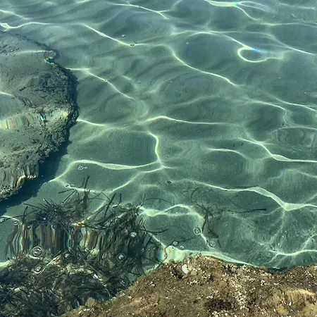 Stefania * Magomadas