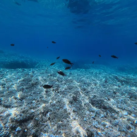 Dom wakacyjny Stefania *